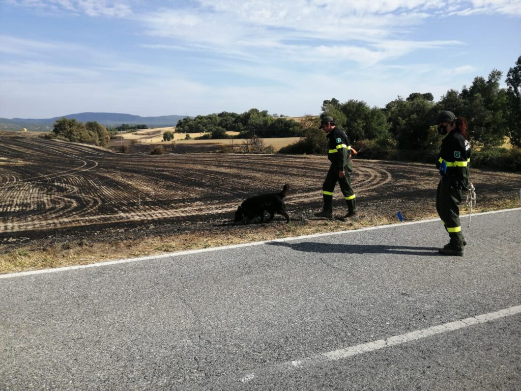 Una burilla o la guspira d’un vehicle, possibles orígens de l’incendi