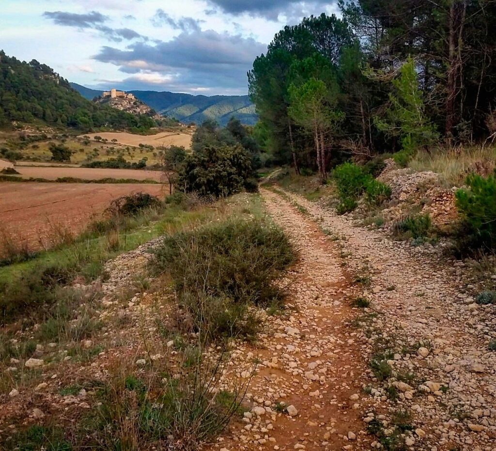 La Pobla de Claramunt crea franges de protecció contra els incendis forestals