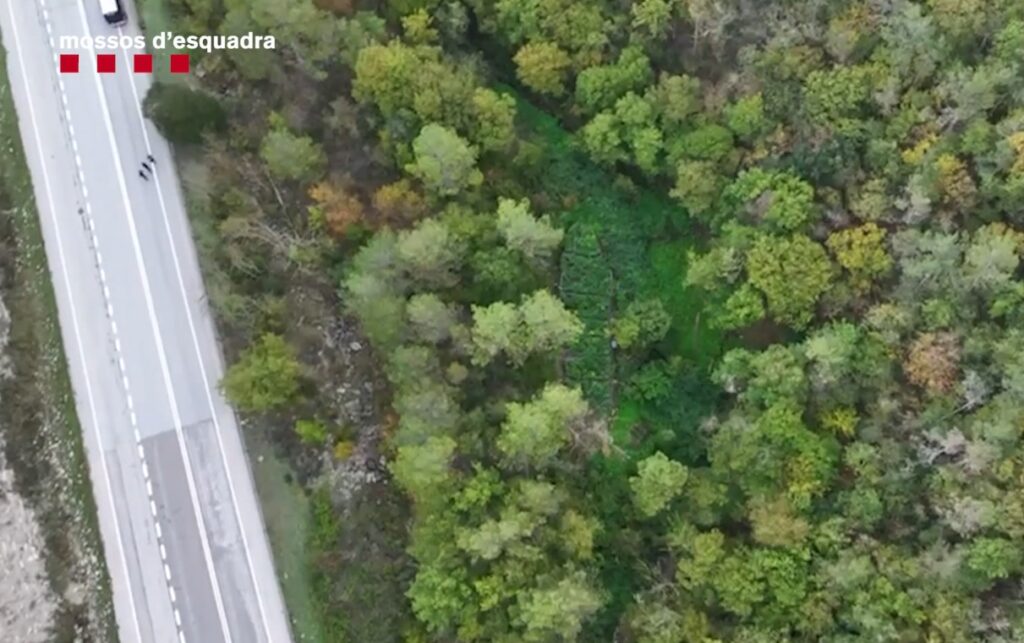 Els detinguts a l’Anoia passaven la nit amagats al bosc després dels robatoris