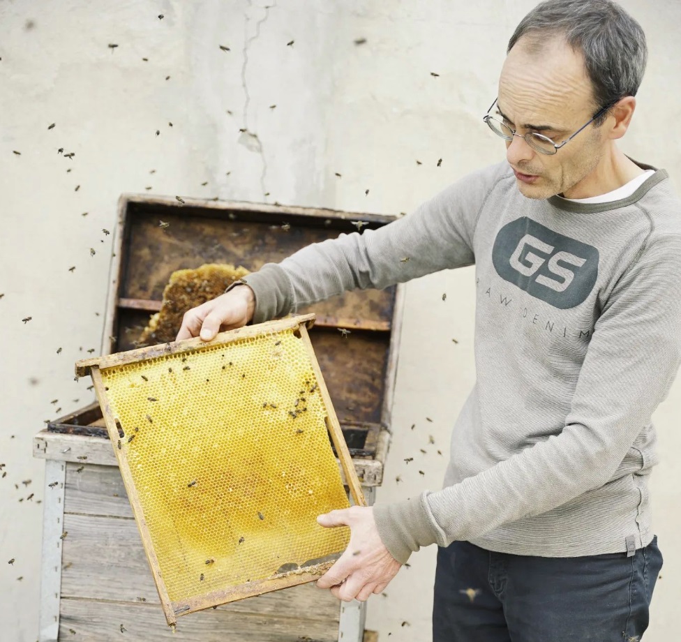 La mel dels anoiencs Mas Buret, premiada al concurs de mels catalanes
