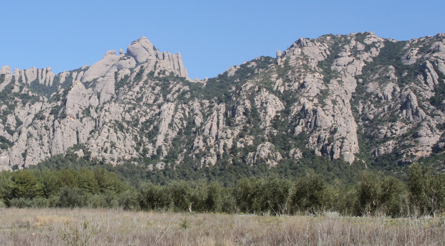Els veïns de l’entorn podran proposar com recuperar l’activitat agrària al Parc Rural de Montserrat