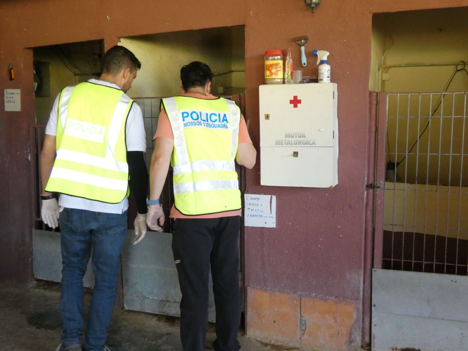 Desmantellat un centre veterinari a l’Anoia acusat d’expedir cartilles sanitàries falses per a animals de companyia