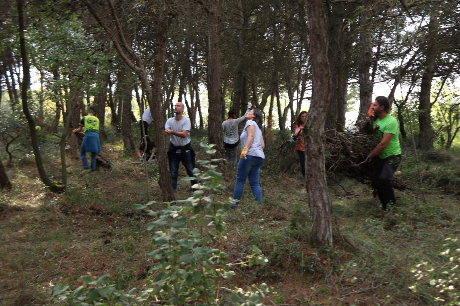 Una cinquantena de voluntaris desbrossen el bosc a Argençola convocats per ‘Revifem Queralt’