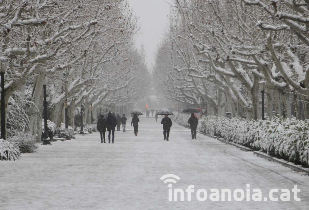 Alerta del pla Neucat per la previsió de nevades a l’Anoia a partir de diumenge al vespre