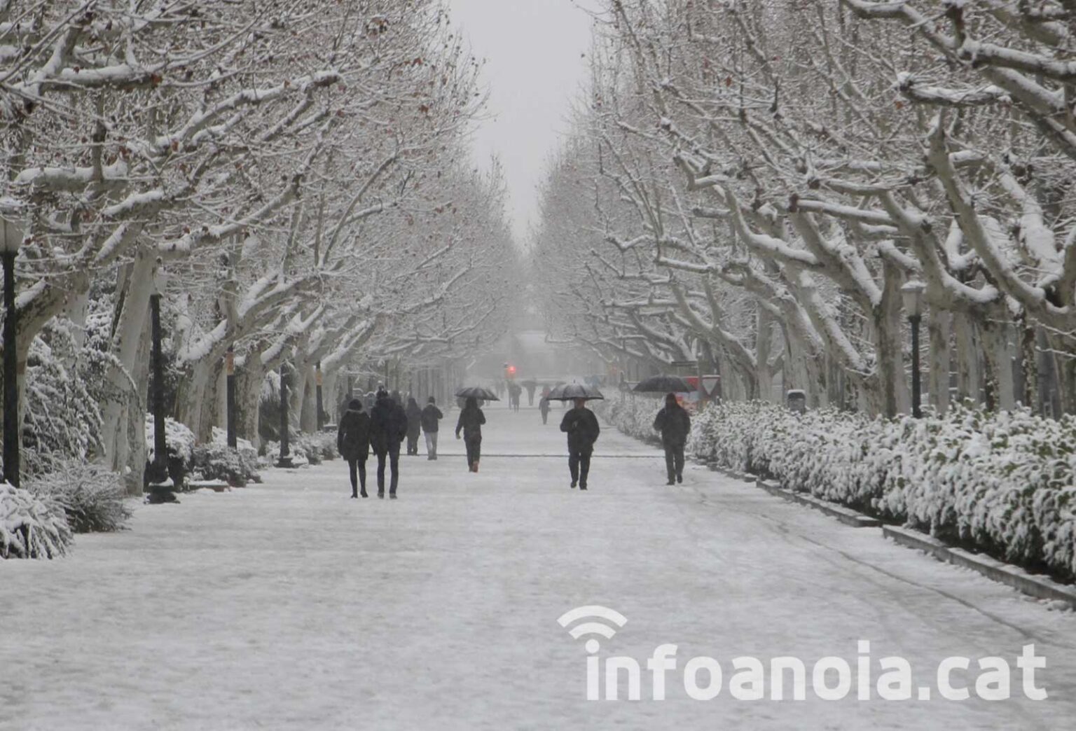 Alerta del pla Neucat per la previsió de nevades a l’Anoia a partir de diumenge al vespre