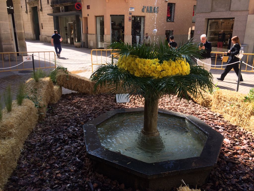 L’Ou ja balla a la Plaça Pius XII