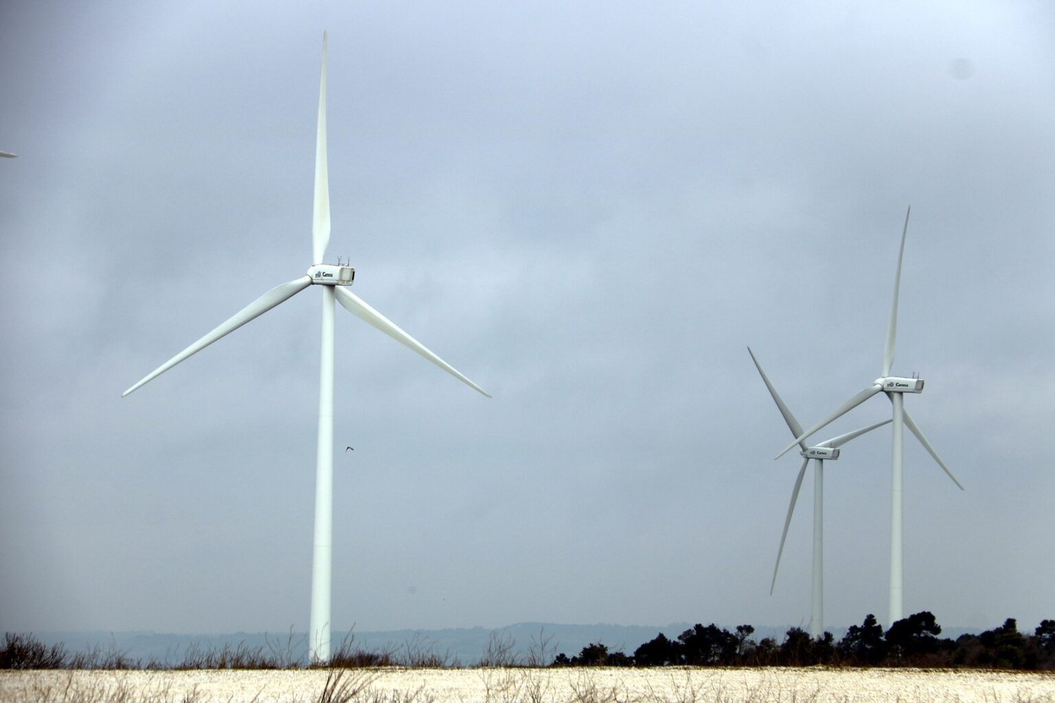 Entitats ecologistes acusen les energètiques de fraccionar els projectes de parcs eòlics aprofitant ‘buits competencials’