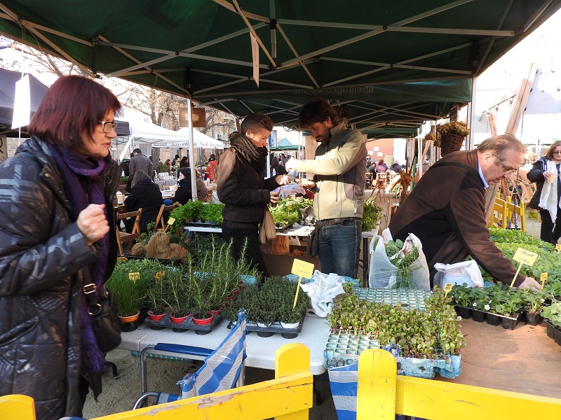 Igualada donarà a conèixer les aplicacions gastronòmiques de les plantes en una jornada amb més de 70 activitats