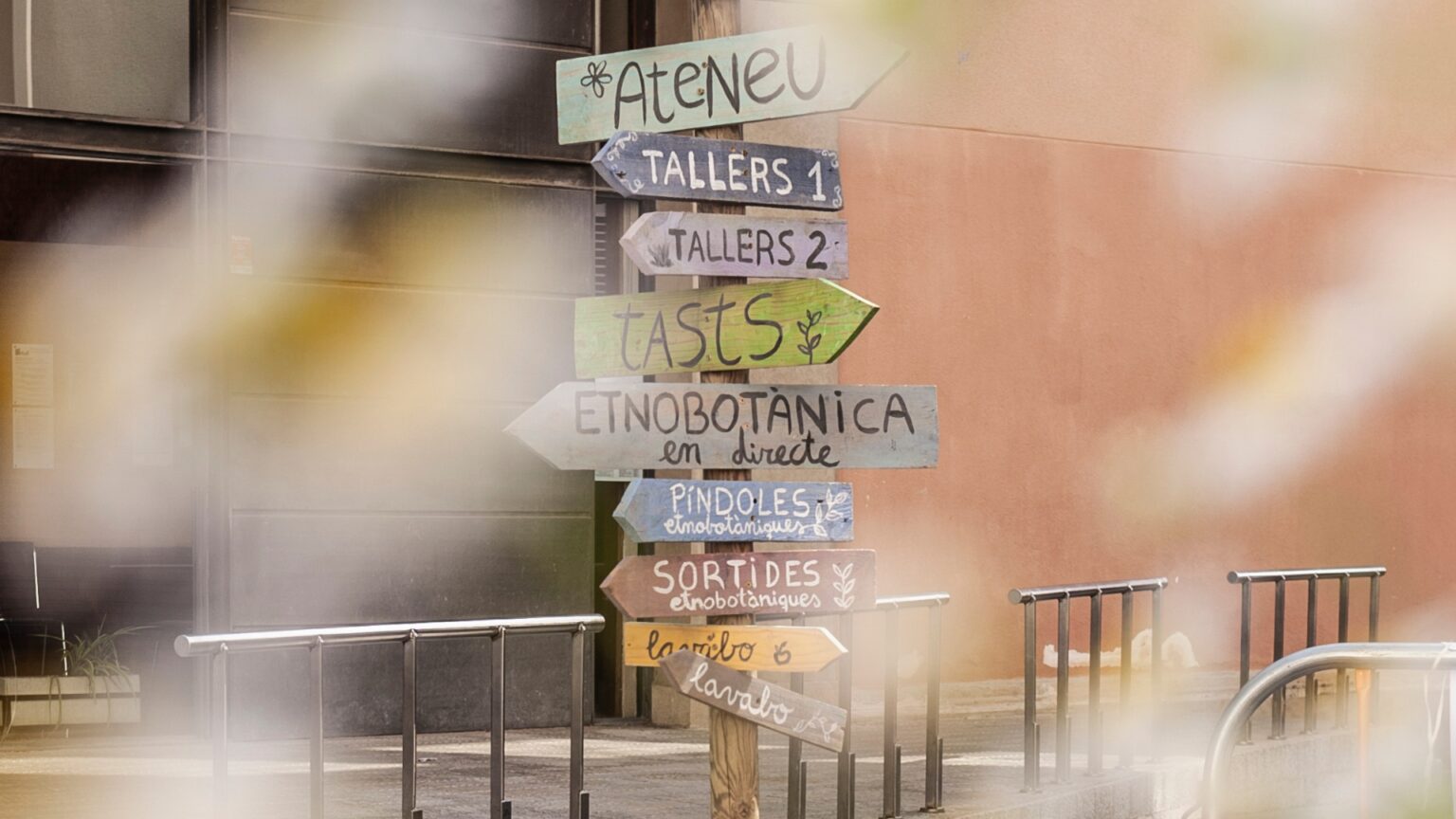 Eixarcolant obre la convocatòria de paradistes i talleristes per a la Jornada Gastronòmica de les Plantes Oblidades 2026