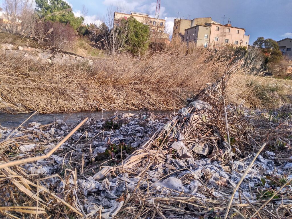 Igualada pel clima prepara una matinal de neteja al riu Anoia
