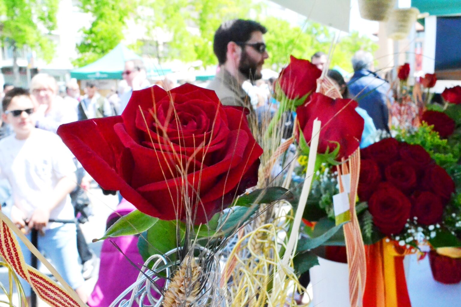 Igualada es prepara per viure un Sant Jordi en confinament