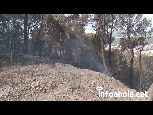 78 dotacions dels Bombers i 12 mitjans aeris treballen en els punts calents de l’incendi de Capellades