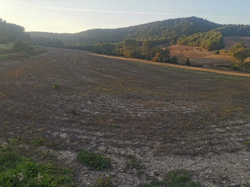 Unió de Pagesos interposa contenciós administratiu contra l’autorització de dues plantes solars fotovoltaiques a l’Anoia