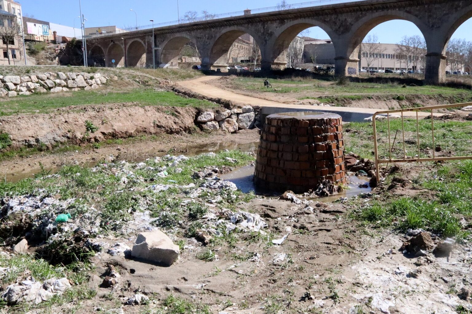 Centenars de tovalloletes s’acumulen al riu Anoia després de les darreres pluges