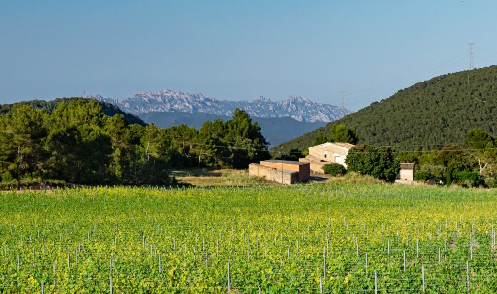 Un projecte vol millorar la seguretat de les masies de l’Anoia en cas d’emergències