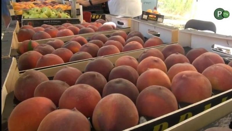 Torna el mercat de la fruita dolça de Piera