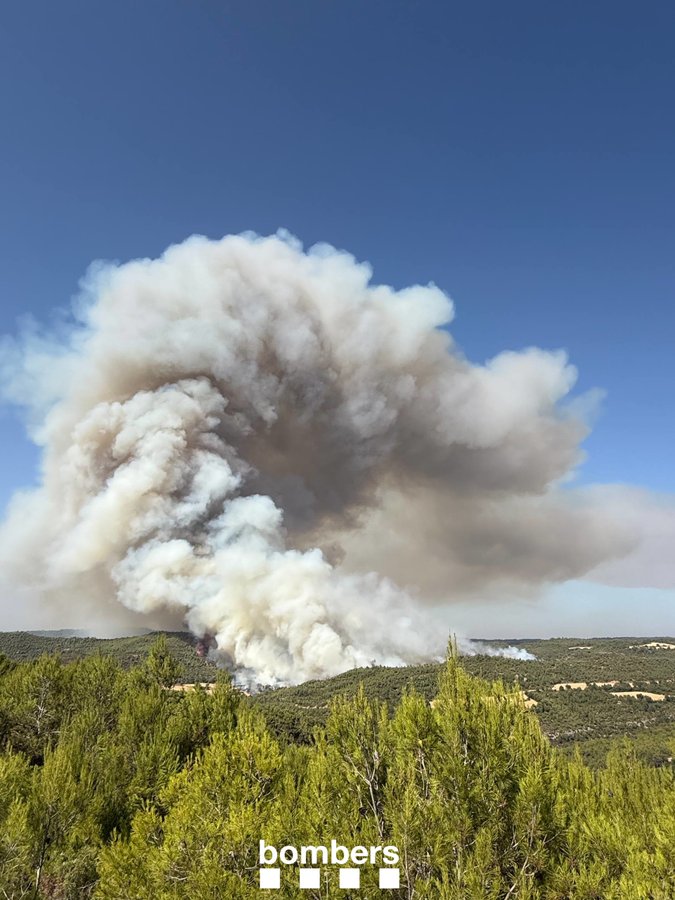 Els Bombers donen per estabilitzat l’incendi de Rubió