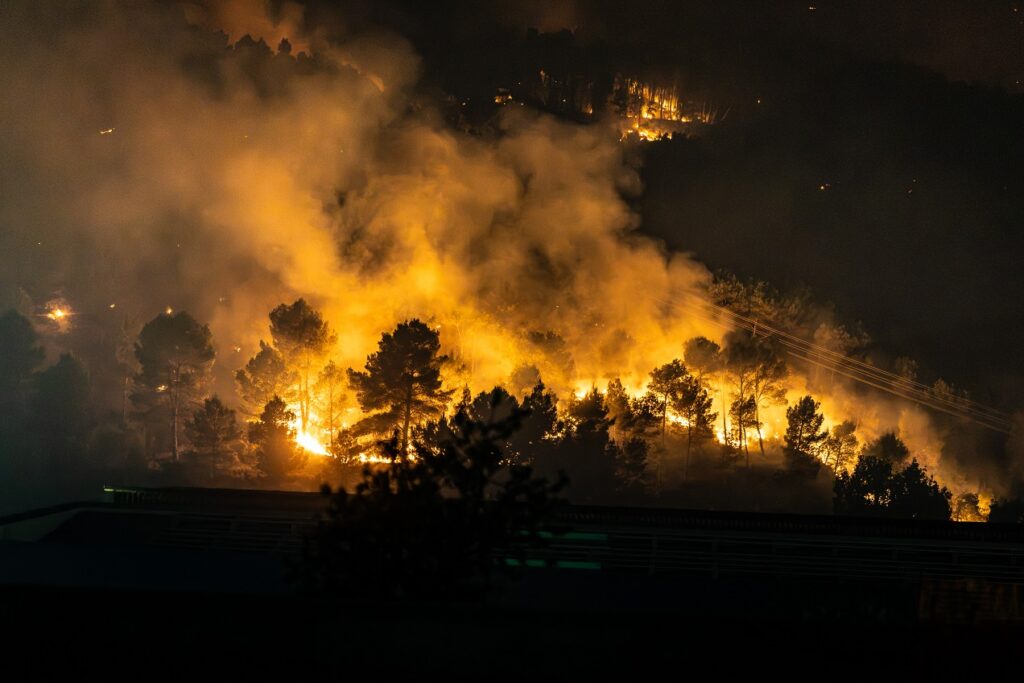 Incendis: només foc?