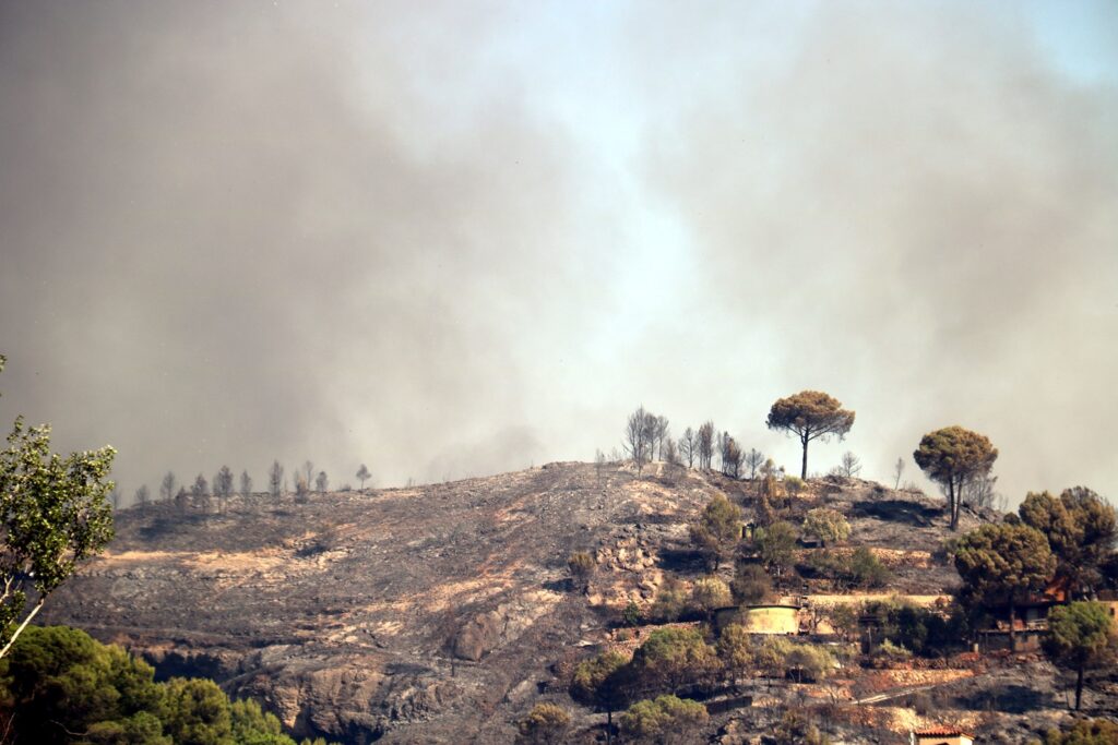 Propietaris forestals reivindiquen que la gestió del bosc ha estat clau per contenir l’incendi de l’Anoia