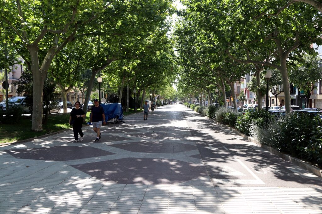 Igualada començarà al setembre la primera fase de la reforma del Passeig Verdaguer